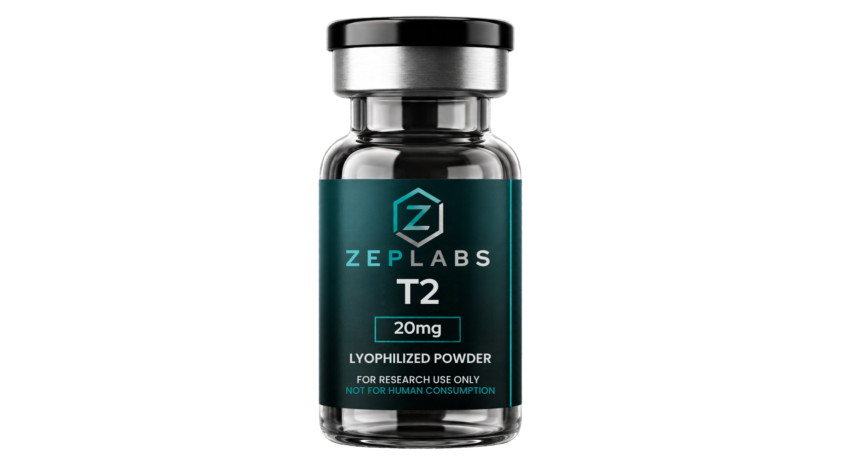 T2