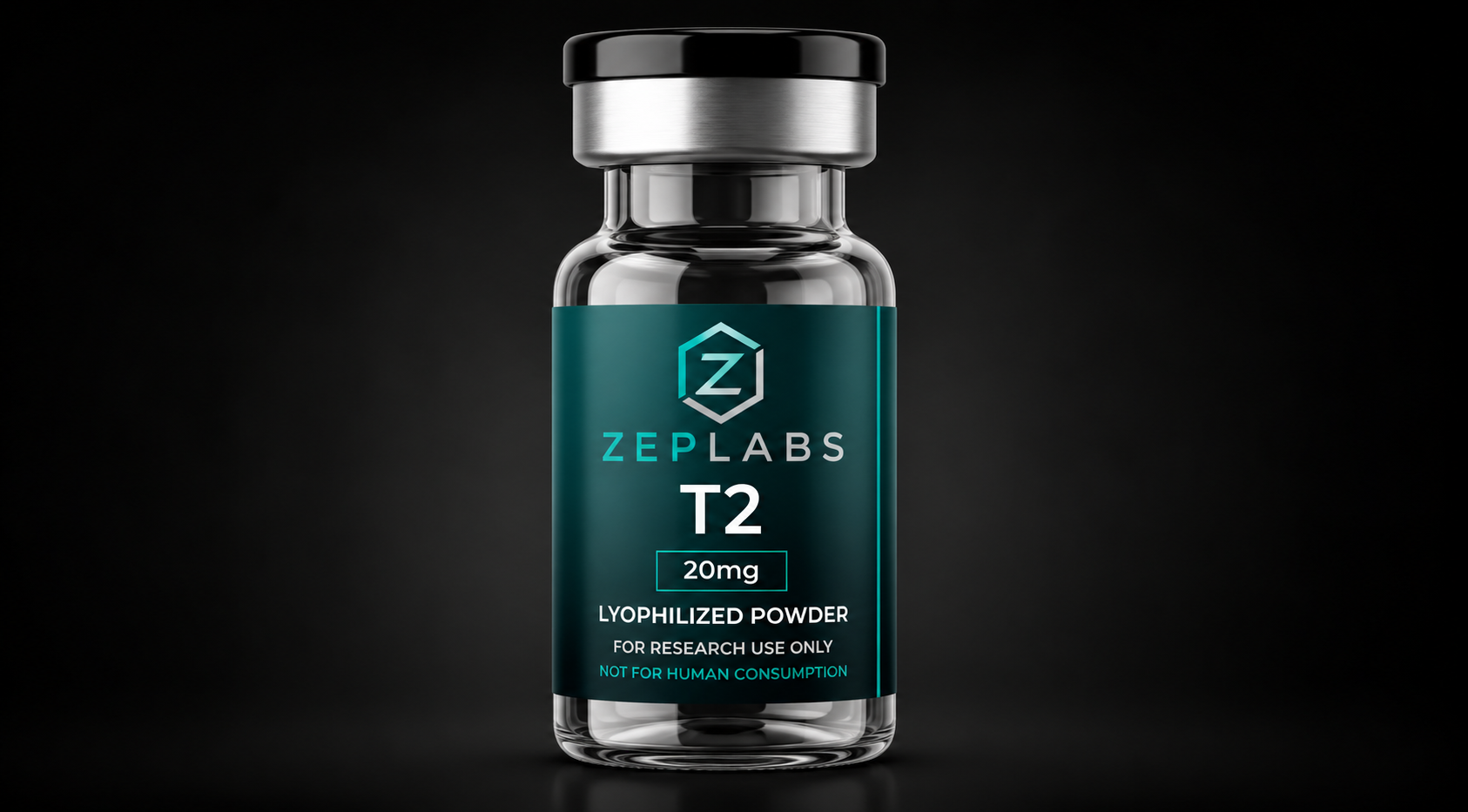 T2